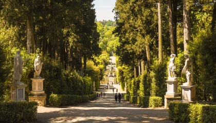 Un viale alberato del giardino di Boboli